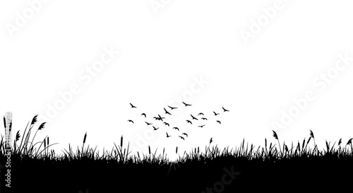 Silhouettes of birds flying over a grassy field at sunset, a serene nature scene.