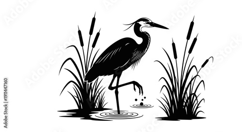 Black and white illustration of a heron standing in water among reeds, a beautiful and elegant bird.