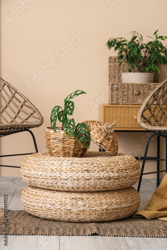 Houseplant on wicker table ...