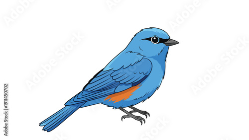Beautiful illustration of a vibrant blue bird with an orange chest perched peacefully against a clean white background for nature lovers.