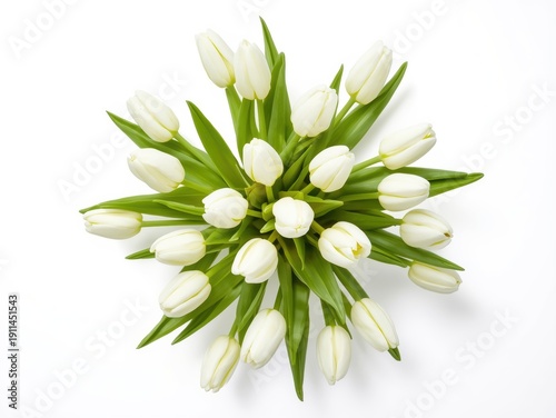 A beautiful bouquet of white tulips arranged in a circular pattern