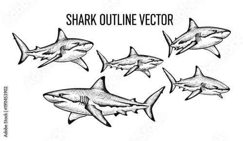 Black And White Shark Silhouettes Swimming In Various Directions Sharks Outline