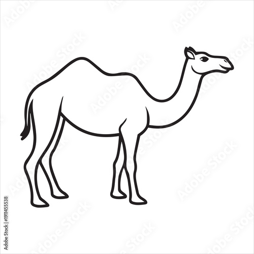 camel line art victor art white background