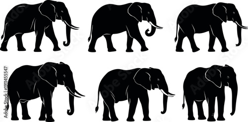 Silhouette Vector Set of African Elephants Walking in Profile with Tusks and Large Ears Isolated on White Background