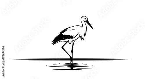 Elegant black and white illustration of a stork standing gracefully in shallow water, reflecting on the surface, perfect for nature-themed designs.