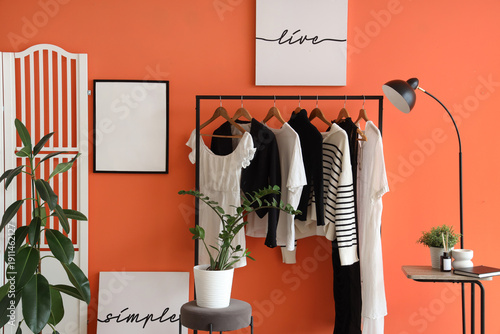 Houseplants and rack with s...