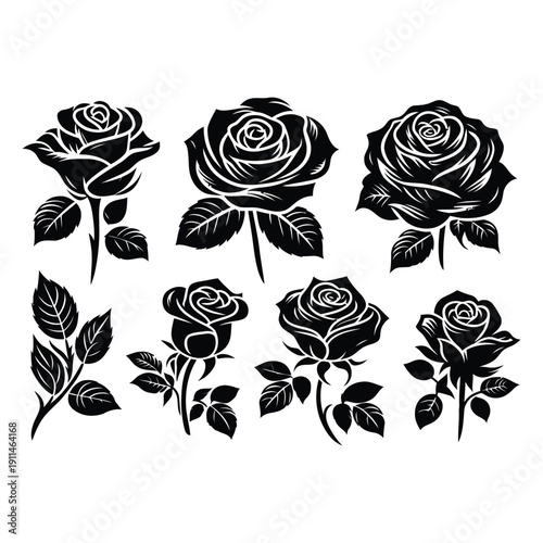 Vintage black rose illustrations set botanical drawings