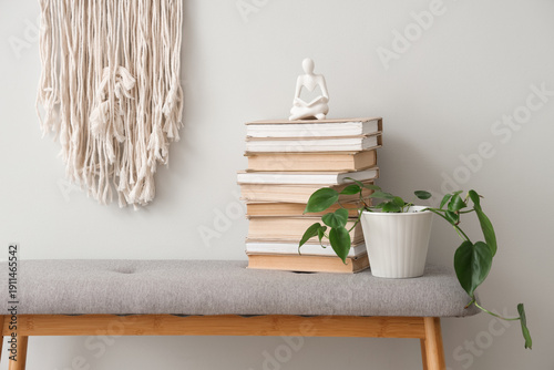 Bench with books and housep...