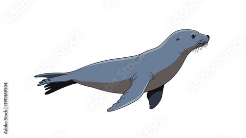 A detailed and realistic illustration of a gray sea lion swimming gracefully through the water, isolated on white background.