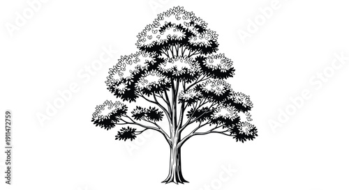 Christmas in vector with white background