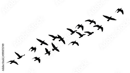 A flock of birds flying in a v-formation against a white background Vector
