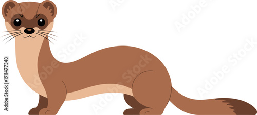 Cute brown weasel vector illustration set in flat design style isolated on white background for wildlife nature education and children animal