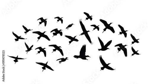 A flock of birds flying in a v-shaped formation against a white background Vector