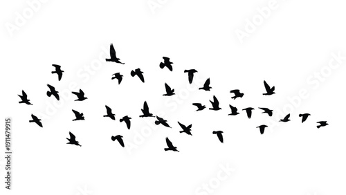 A flock of birds in flight against a white background Vector