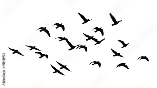 A flock of birds flying in a scattered formation against a white background Vector
