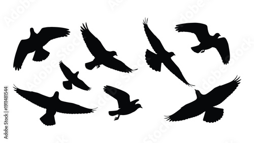 A flock of birds in flight, silhouetted against a white background Vector