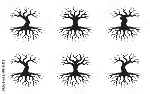Six Silhouetted Trees with Intricate Root Systems on White Background