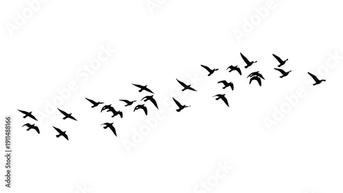 A flock of birds flying in a v-formation against a white background Vector