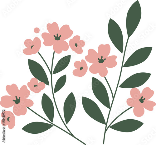 Pink flowers on stems with green leaves on white background