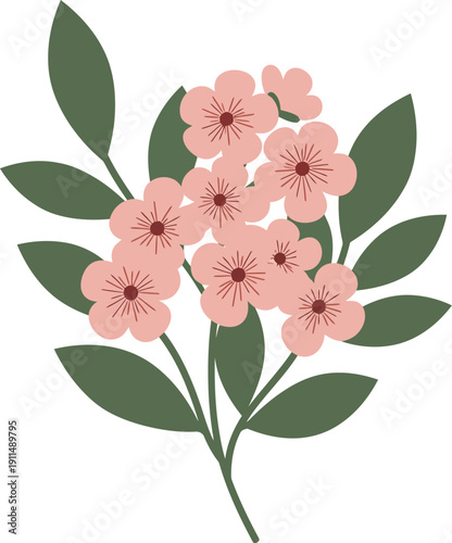Pink flowering branch with green leaves on white background