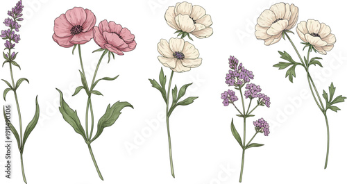Variety of wildflowers with pink and white petals on long stems