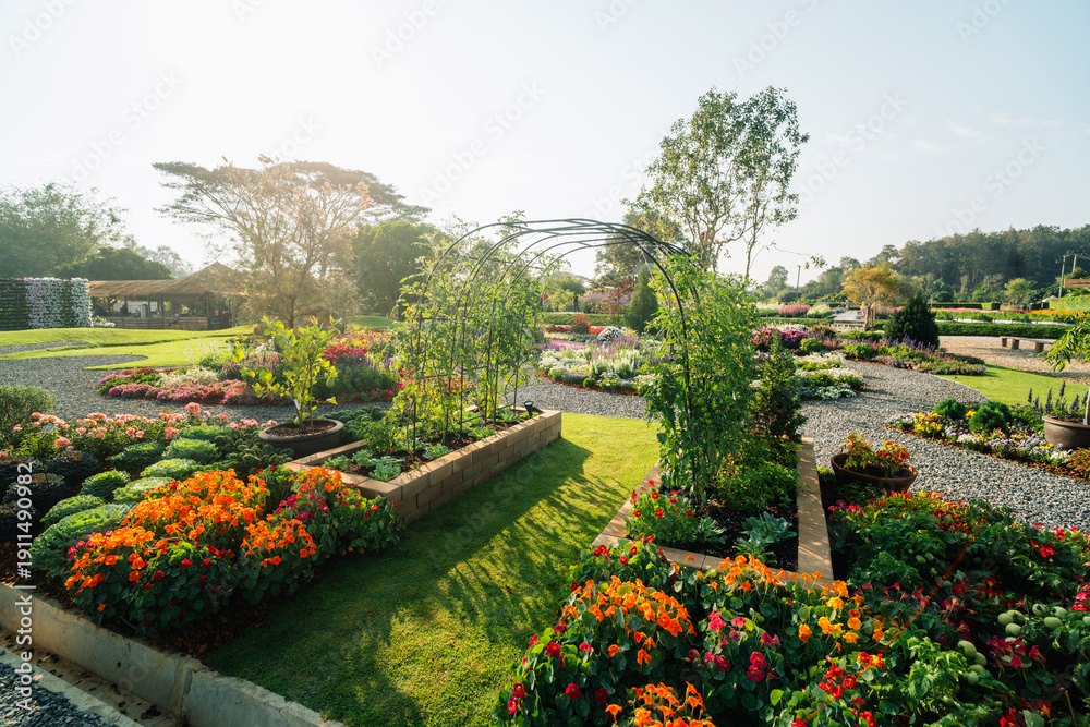 Fototapeta premium Beautiful organic kitchen garden with raised beds, metal arch trellis, and blooming nasturtium flowers in morning sunlight