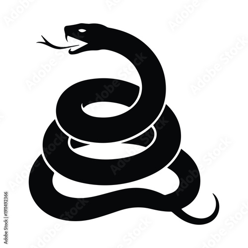 Coiled snake with open mouth in striking position