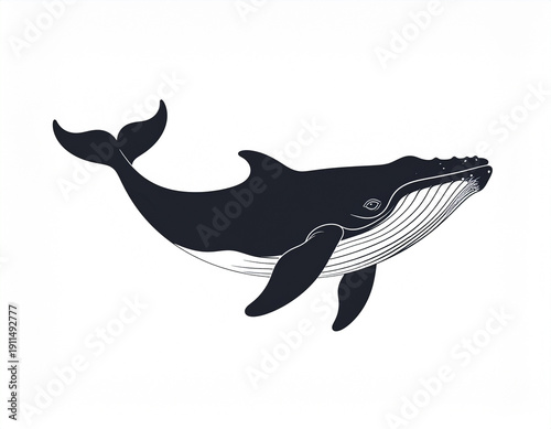 Black Humpback Whale Silhouette Side View Isolated on White Background