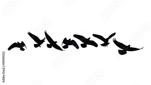 A flock of birds in flight against a white background. Vector