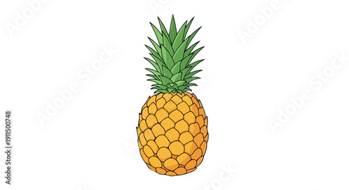 Hand Drawn Illustration of Churros with Sugar Coating