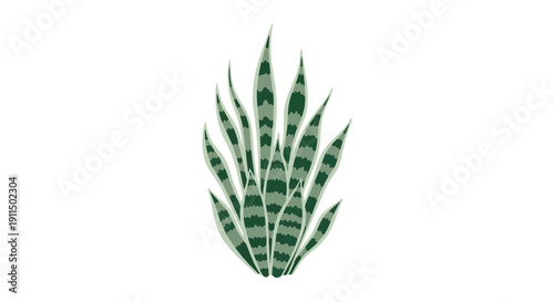 This contemporary vector art features a distinct snake plant illustration showcasing its elegant upright leaves with variegated patterns a perfect