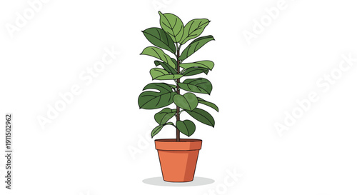 A vibrant green houseplant in an earthy terracotta pot, illustrating natural tranquility indoors.