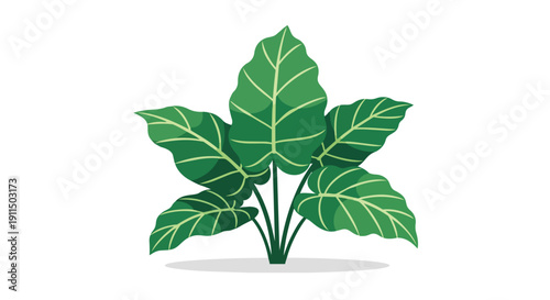 Stylized green plant illustration with broad leaves and prominent veins on a clean white background, perfect for modern design elements promoting