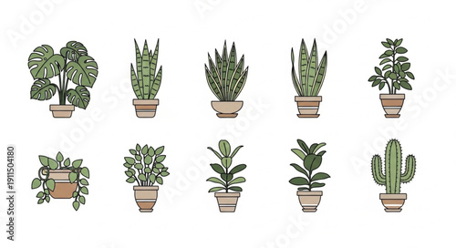 Collection of ten potted houseplants in a flat design style.