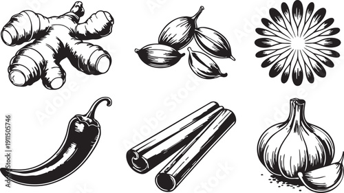 Spice and herb illustrations including ginger garlic chili pepper