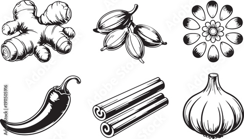 spices and herbs for cooking and recipes ginger cardamom cinnamon chili pepper onion