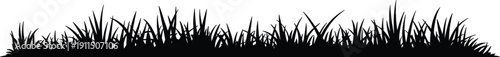 Grass silhouette border with wild meadow plants, black horizontal lawn edge design element isolated on white background for nature landscaping and outdoor decoration projects.