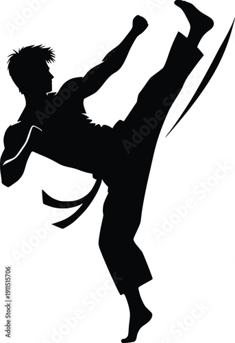 Silhouette of a martial artist performing a high kick