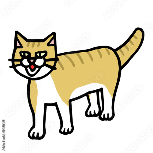 猫
