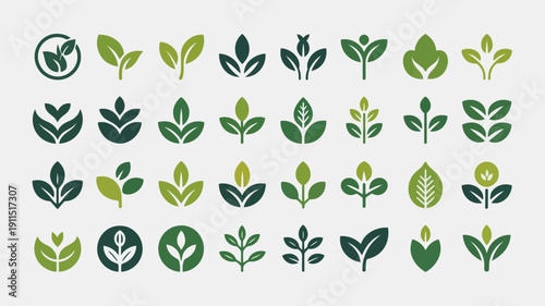 A collection of various green leaf icons and symbols are displayed showcasing different shapes and designs for botanical or eco friendly themes high quality professional detailed