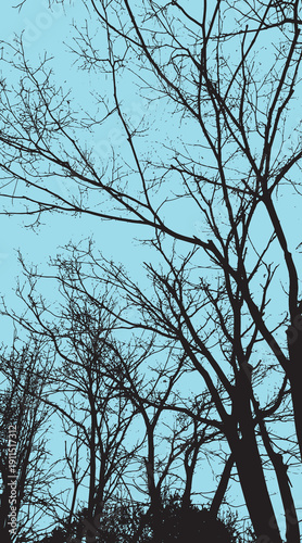 Wallpaper Mural 13-32. Silhouette vector images of branches stretching towards the sky - illustration. Torontodigital.ca