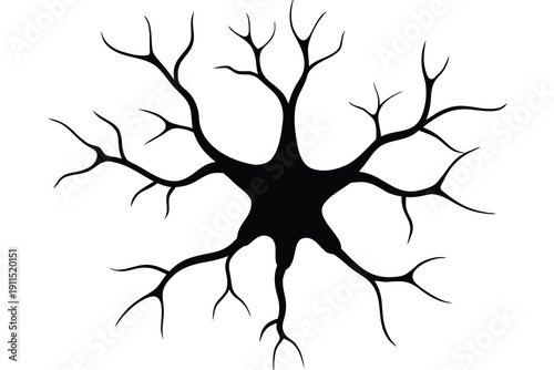 Neuron, Nerve Cell