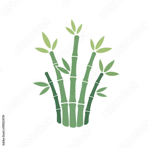 Bamboo Stems with Green Leaves Illustration.