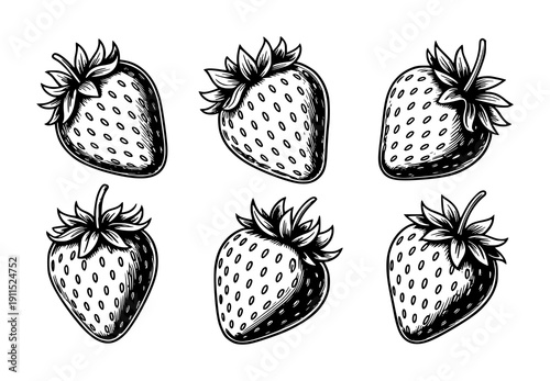 Hand Drawn Black and White Strawberries Isolated White Background strawberry fruit