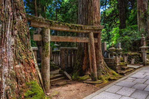 Schilderij op canvas Path through Koyasan Okunoin cemetery, Wakayama Prefecture, Japan