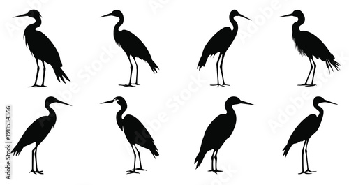 snowy egret bird silhouette black clip art set egret