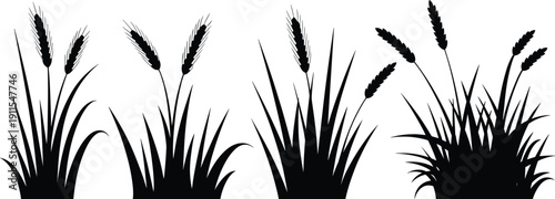 Black wheat and barley grass silhouette collection, isolated cereal crop bundle vector, agricultural harvest botanical farming design element