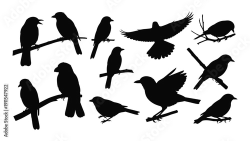 A group of black birds perched and flying against a white background. Vector
