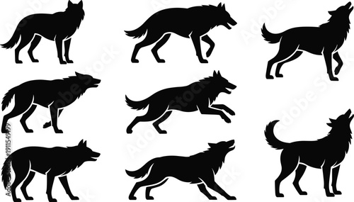 Black wolf silhouette illustration featuring nine dynamic poses in grid layout, showcasing walking, running, standing, and howling stances, creative wildlife artwork design for educational 