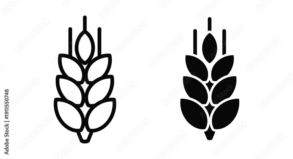Fototapeta premium Black and white minimalist cotton boll illustration set isolated on white background for agriculture textile design